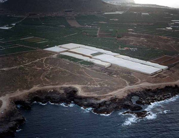 Playa Charco de la Araña